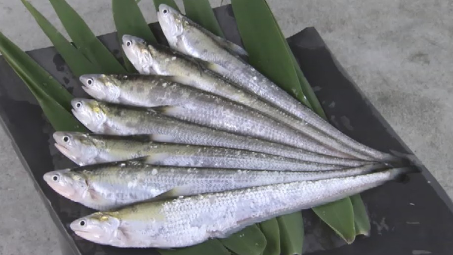 夏の風物詩「エツ」の供養祭 筑後川の恵みに感謝 この10年は漁獲量が減少 来年の豊漁を祈願 福岡・大川市