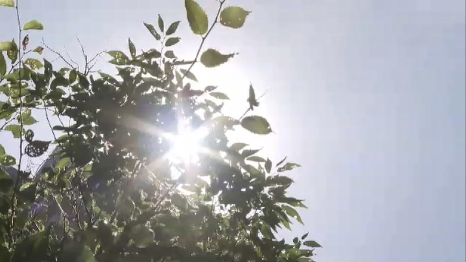 28日も福岡県内で厳しい暑さ　久留米市・行橋市・太宰府市で38℃予想　13日連続で熱中症警戒アラート　「立っていられないくらい暑い」
