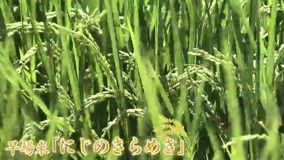 今年は安くなりそうな新米　“コメ余り”で福岡の生産者は危機感　肥料や農薬の価格は3割上昇　中東情勢も影響