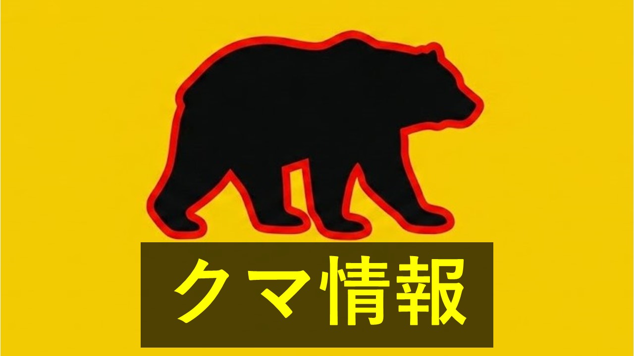 周南市の路上でクマ１頭を目撃　体長１メートル　国道２号線近くの住宅街　山口