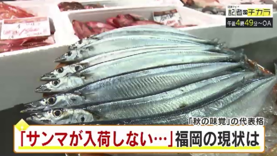 きょう午後4時49分~ 「記者のチカラ」は…