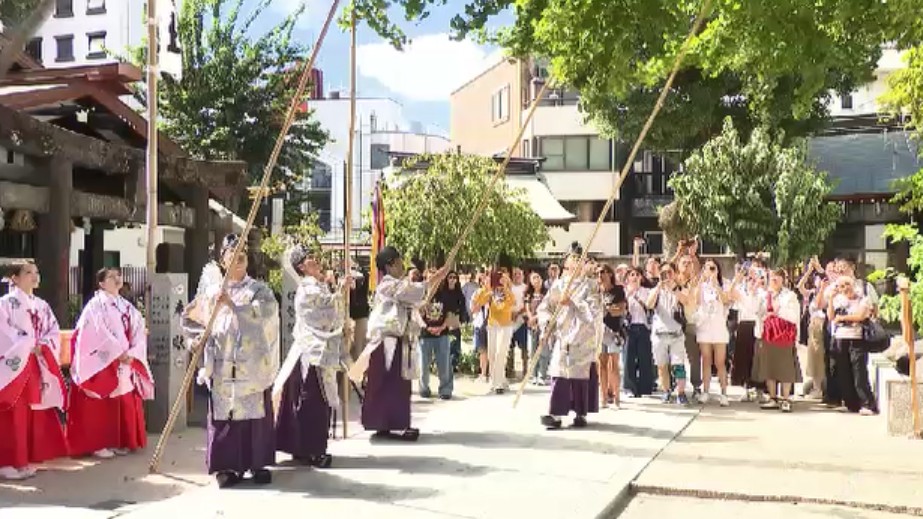 博多に本格的な秋の訪れ 櫛田神社で「ぎなん落とし」 巫女たちがギンナンを拾い上げ 福岡市