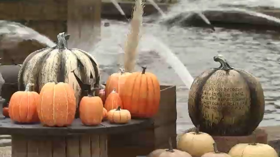 カボチャにお化け…ハロウィーンの撮影スポット登場　100万本のコスモスも満開に　秋色に染まる海の中道海浜公園　福岡