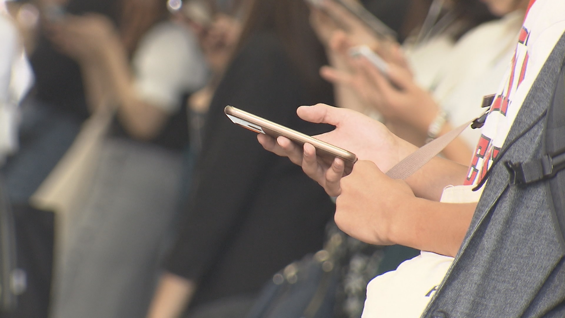 福岡で「ワモンゴキブリ」急上昇キーワード入り 2025年Google検索ランキング発表 各地で相次ぐクマ被害も反映